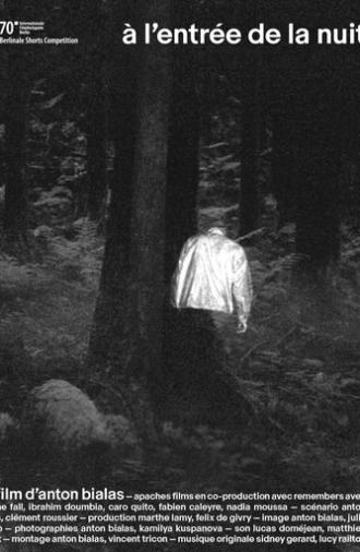 At the Entrance of the Night (2020)