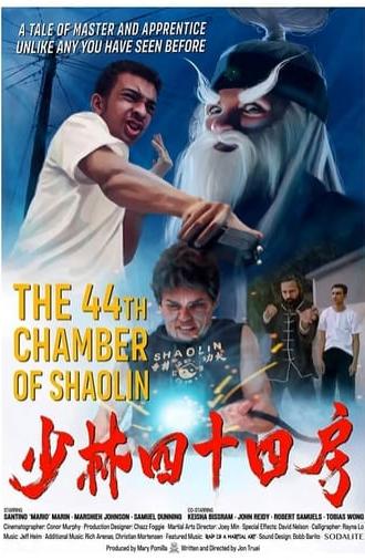 The 44th Chamber of Shaolin (2023)