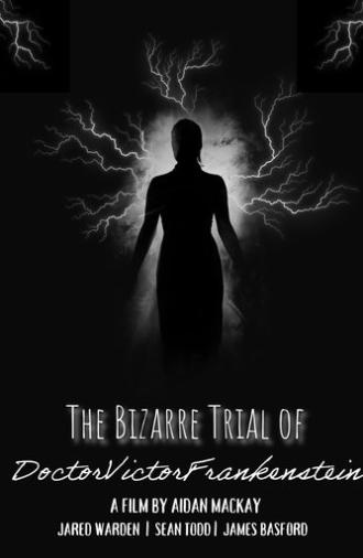 The Bizarre Trial of Doctor victor Frankenstien (2025)
