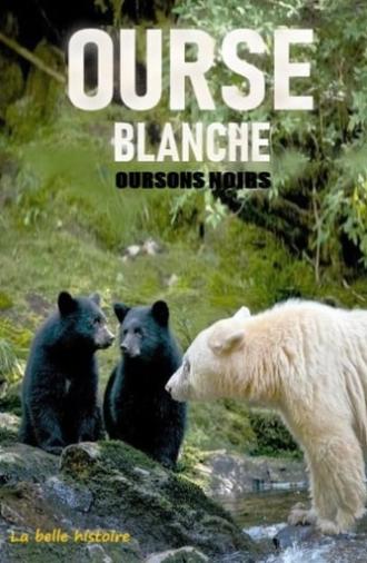 Ourse blanche, oursons noirs : la belle histoire (2017)