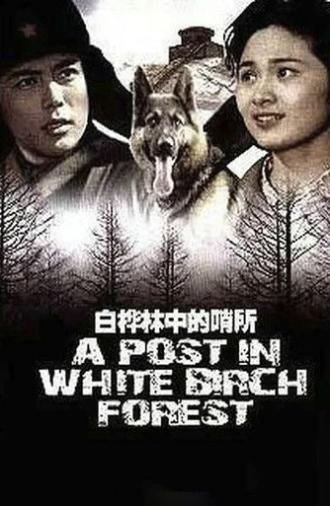 A Post in White Birch Forest (1982)
