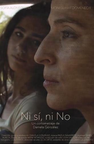 Ni sí, ni no (2017)