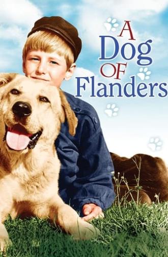 A Dog of Flanders (1959)