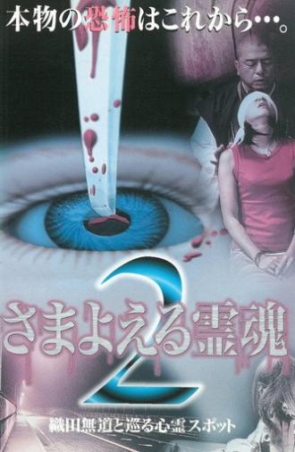 Wandering Souls 2: Exploring Haunted Spots with Oda Nobunaga (1999)