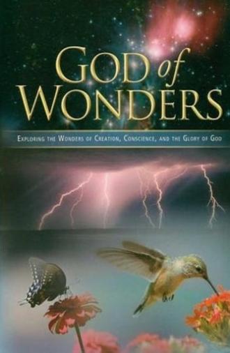 God of Wonders (2008)