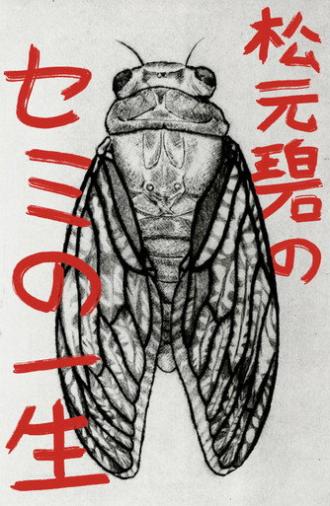 Midori Matsumoto’s: The Life Cycle Of A Cicada (2026)