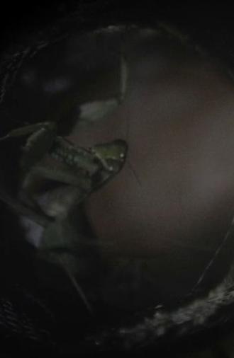 Spaghetti Ramen (2023)