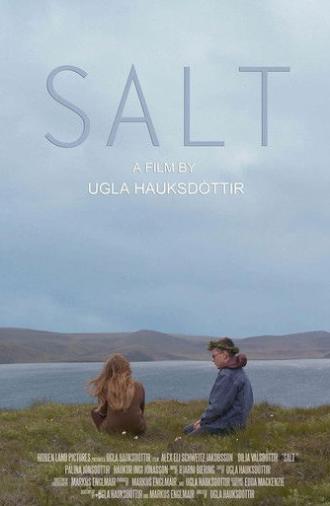 Salt (2014)