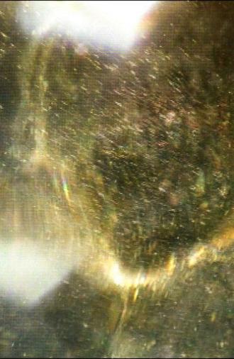 The Dithering Veil (2025)