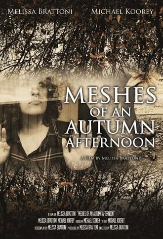 Meshes of an Autumn Afternoon (2016)