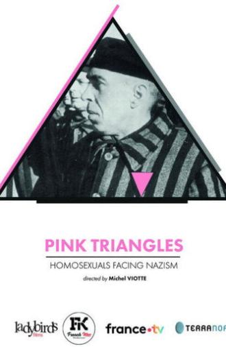 Pink Triangles, Homosexuals Facing Nazism (2024)