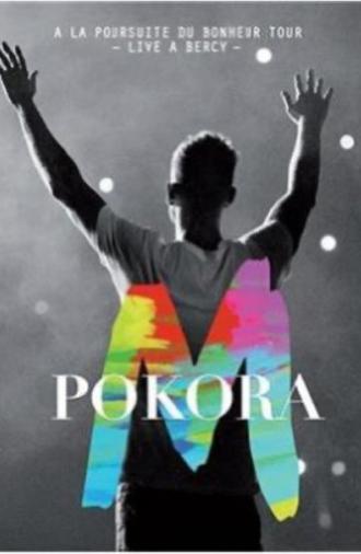 M Pokora - Concert à Bercy (2013)