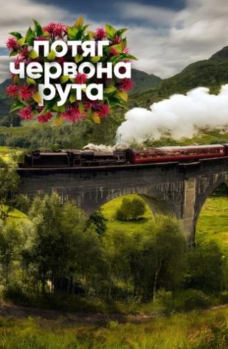 Chervona Ruta Train (2026)