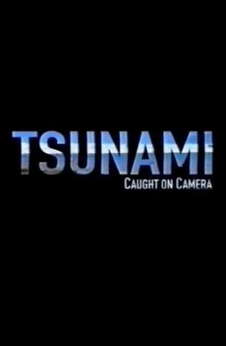 Tsunami: Caught on Camera (2009)