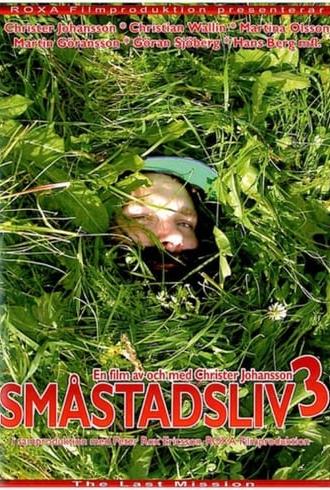 Småstadsliv 3 (2010)