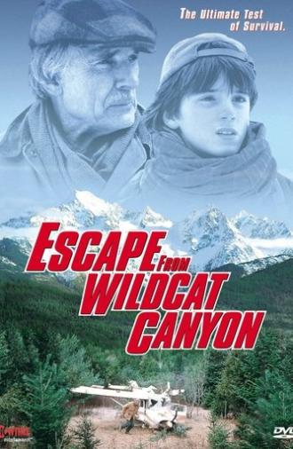 Escape from Wildcat Canyon (1998)