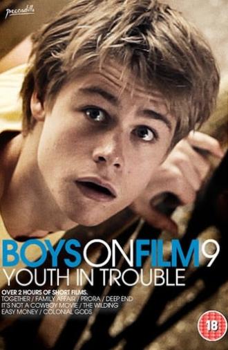 Boys On Film 9: Youth in Trouble (2013)