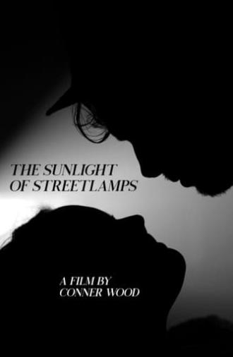 The Sunlight of Streetlamps (2020)