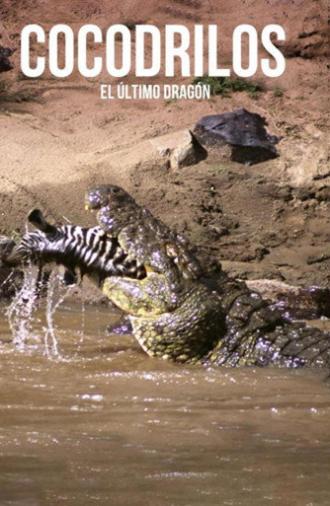 Crocodiles, the last dragon (2010)