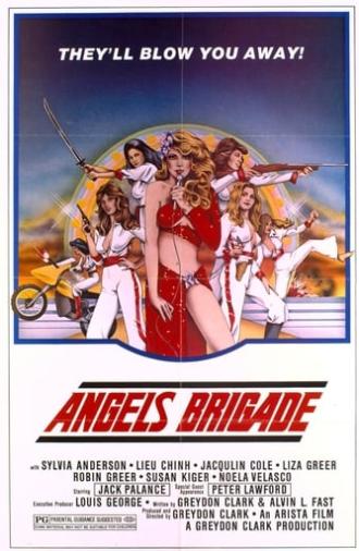 Angels' Brigade (1979)