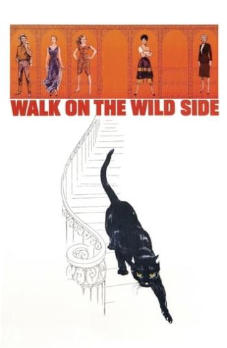 Walk on the Wild Side (1962)