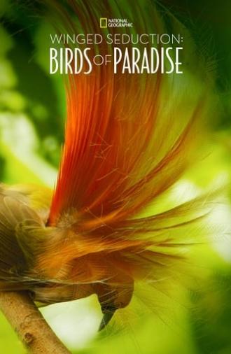 Winged Seduction: Birds of Paradise (2012)