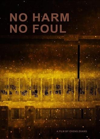 No Harm No Foul (2017)