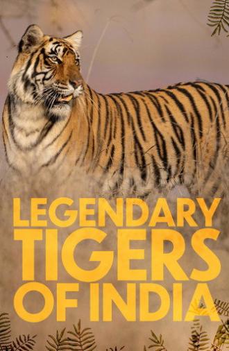 Legendary Tigers of India (2025)