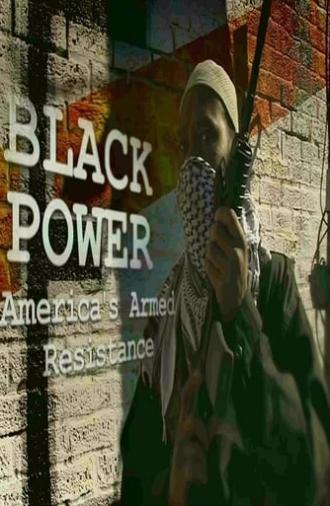 Black Power: America's Armed Resistance (2016)