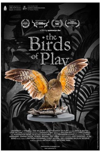 The Birds of Play (2019)