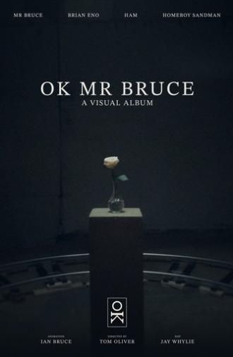 OK MR BRUCE (2026)