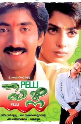 Pelli (1997)