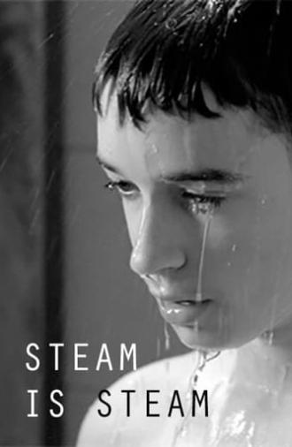 Steam is Steam (2011)