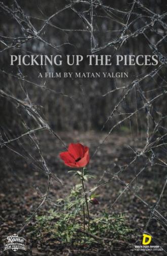 Picking Up the Pieces (2024)