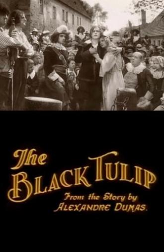 The Black Tulip (1921)