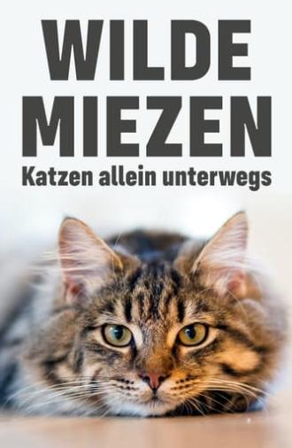 Wilde Miezen - Katzen allein unterwegs (2017)