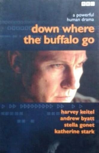 Down Where the Buffalo Go (1988)