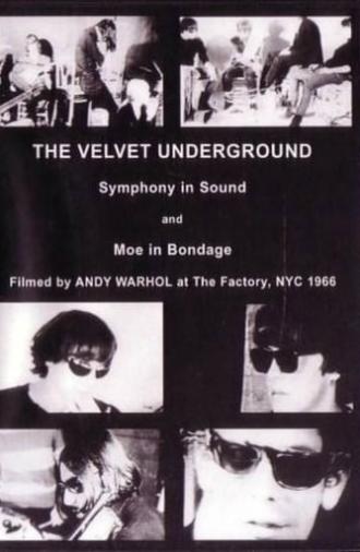 The Velvet Underground and Nico: A Symphony of Sound (1966)