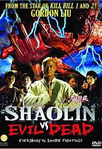 Shaolin vs. Evil Dead (2004)