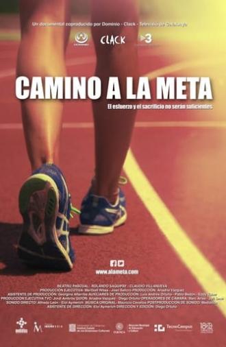 Camino a la meta (2013)