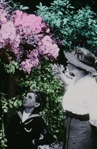 Flowers in the Garden (1914)