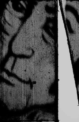Two hundred and eighty billion images (2025)