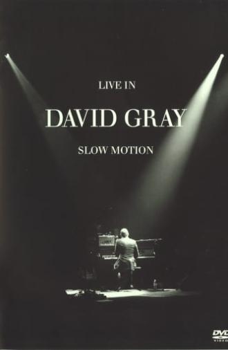 David Gray: LIVE in Slow Motion (2006)