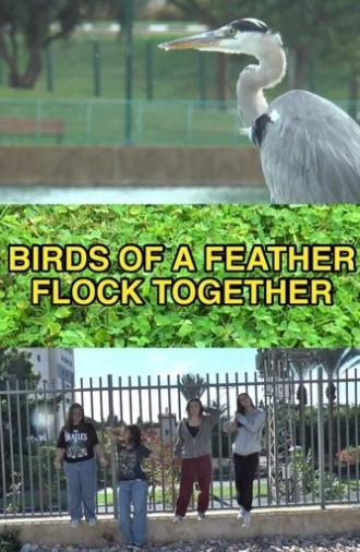 Birds of a Feather Flock Together (2025)