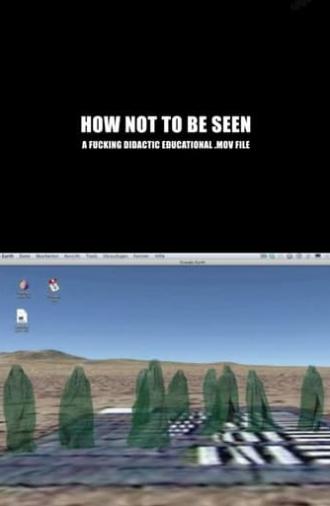 How Not to Be Seen: A Fucking Didactic Educational .MOV File (2013)