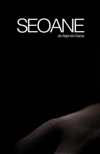 Seoane (2017)