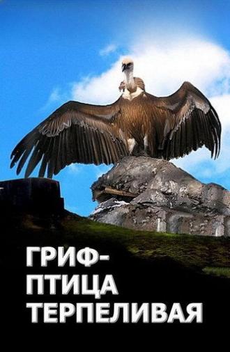 The Vulture Is a Patient Bird (1991)