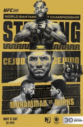 UFC 288: Sterling vs. Cejudo (2023)