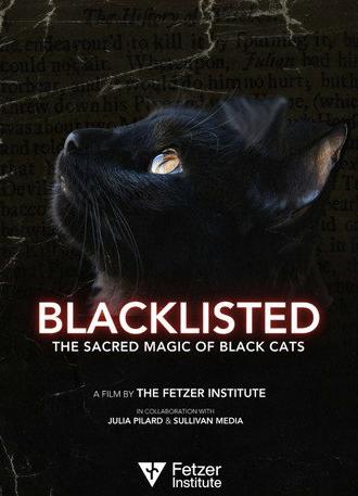 Blacklisted (2025)
