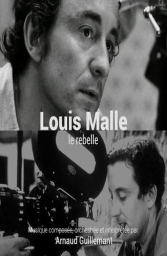 Louis Malle, le rebelle (2015)